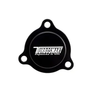 Ford Fiesta Ecoboost Turbosmart BOV Blanking Plate | God pris